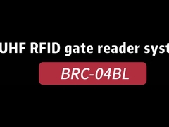 Система управления доступом ворот читателя UHF RFID рамки BRC-04BL портальная/RFID